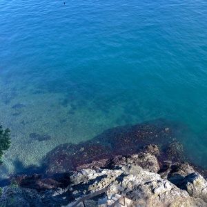 Meet your Posher, Avery